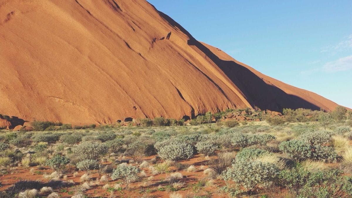 Dijital Dünyanın Sanatsal Dili: Generative Art