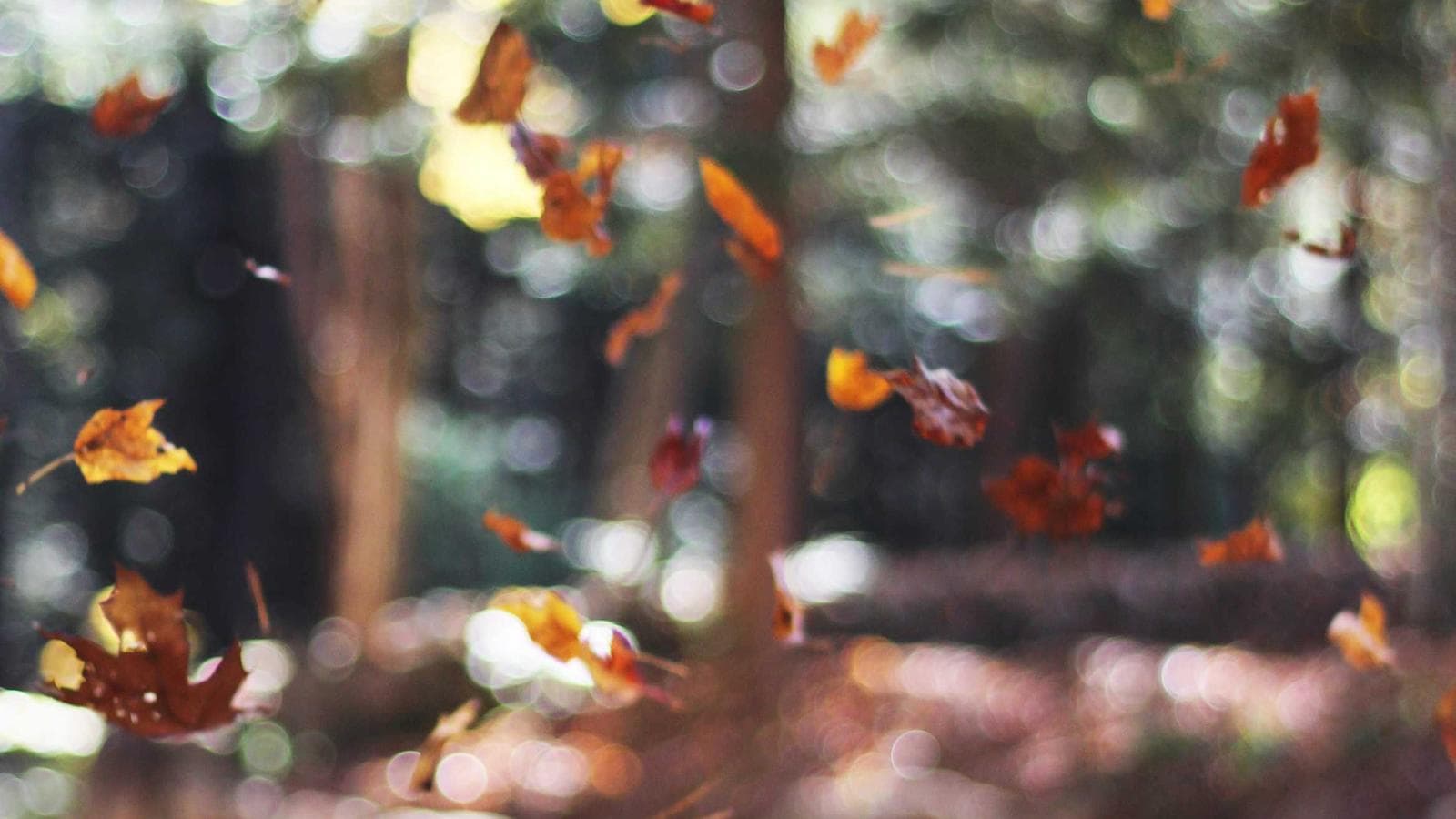 Nöron — AI Sağlık Platformu — Hero