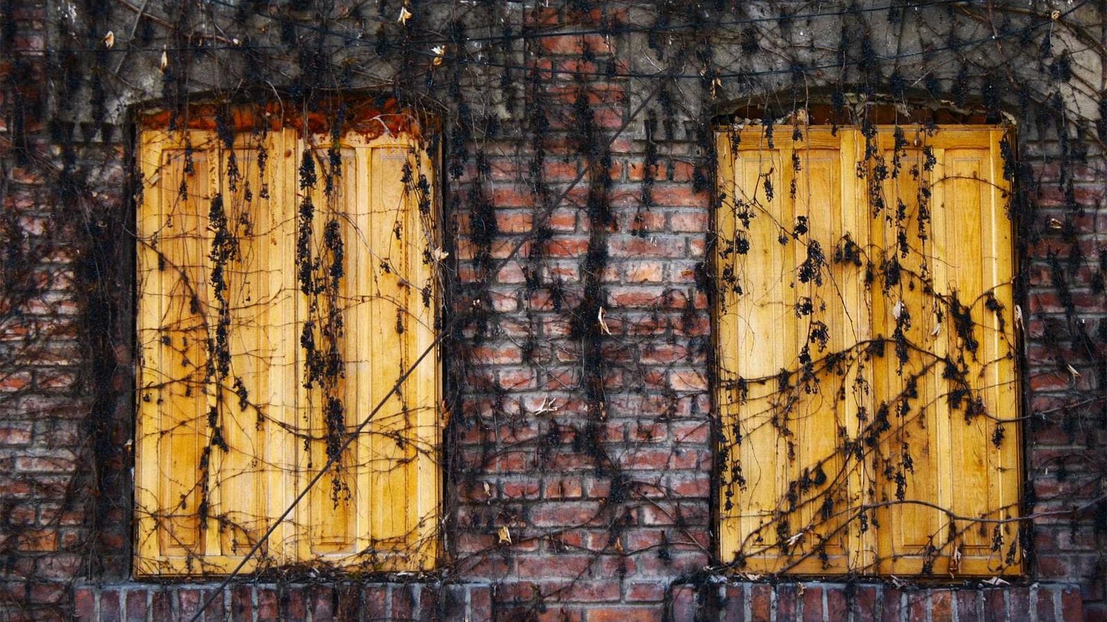 Prizma — Müzik Akışı — 02